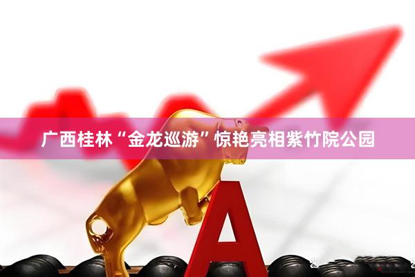 广西桂林“金龙巡游”惊艳亮相紫竹院公园