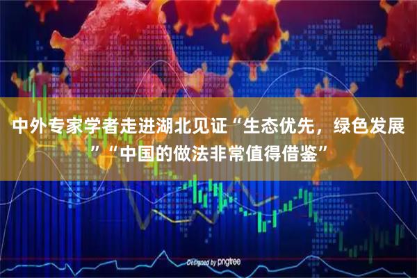 中外专家学者走进湖北见证“生态优先，绿色发展”“中国的做法非常值得借鉴”