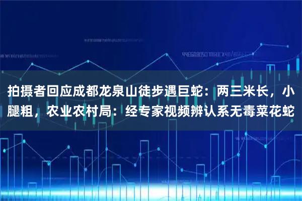 拍摄者回应成都龙泉山徒步遇巨蛇：两三米长，小腿粗，农业农村局：经专家视频辨认系无毒菜花蛇