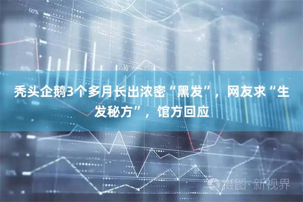 秃头企鹅3个多月长出浓密“黑发”，网友求“生发秘方”，馆方回应