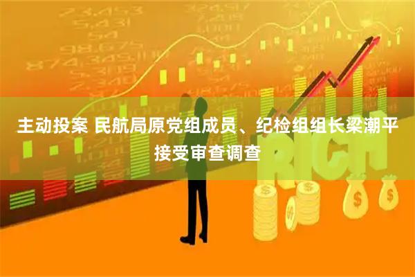 主动投案 民航局原党组成员、纪检组组长梁潮平接受审查调查