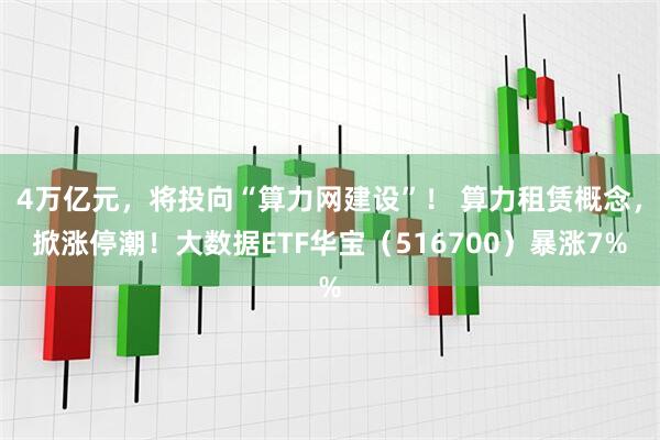 4万亿元，将投向“算力网建设”！ 算力租赁概念，掀涨停潮！大数据ETF华宝（516700）暴涨7%