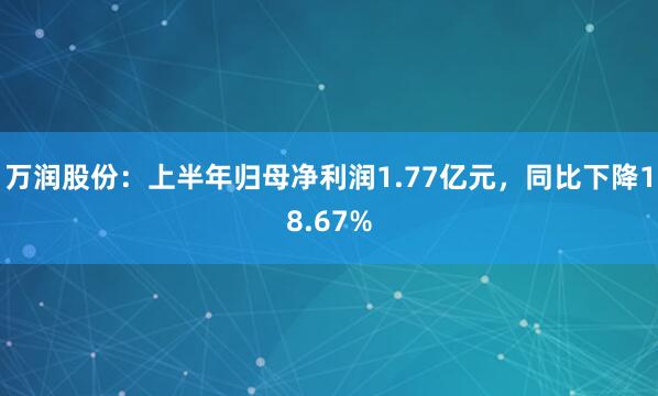万润股份：上半年归母净利润1.77亿元，同比下降18.67%