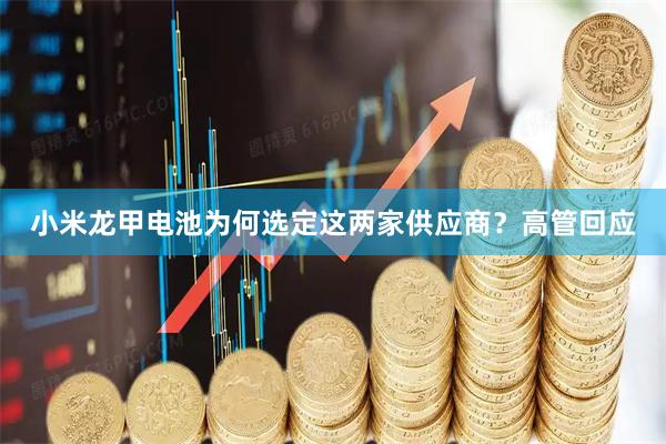 小米龙甲电池为何选定这两家供应商？高管回应